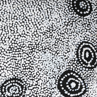 Aboriginal Artwork by Mickey Jampijinpa Singleton, Ngapa Jukurrpa, 76x46cm
