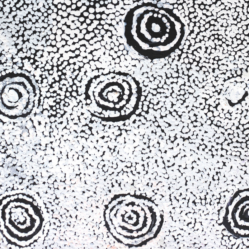Aboriginal Artwork by Mickey Jampijinpa Singleton, Ngapa Jukurrpa, 76x46cm