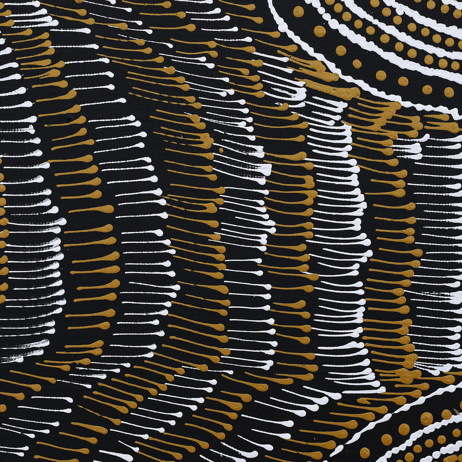 Aboriginal Artwork by Mickayla Napaljarri Brown, Watiya-warnu Jukurrpa (Seed Dreaming), 30x30cm