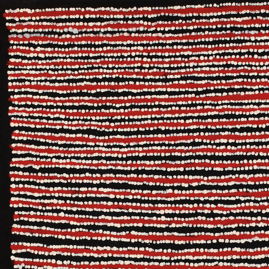 Aboriginal Artwork by Mitchell Japanangka Martin, Mina Mina Jukurrpa - Ngalyipi, 61x46cm