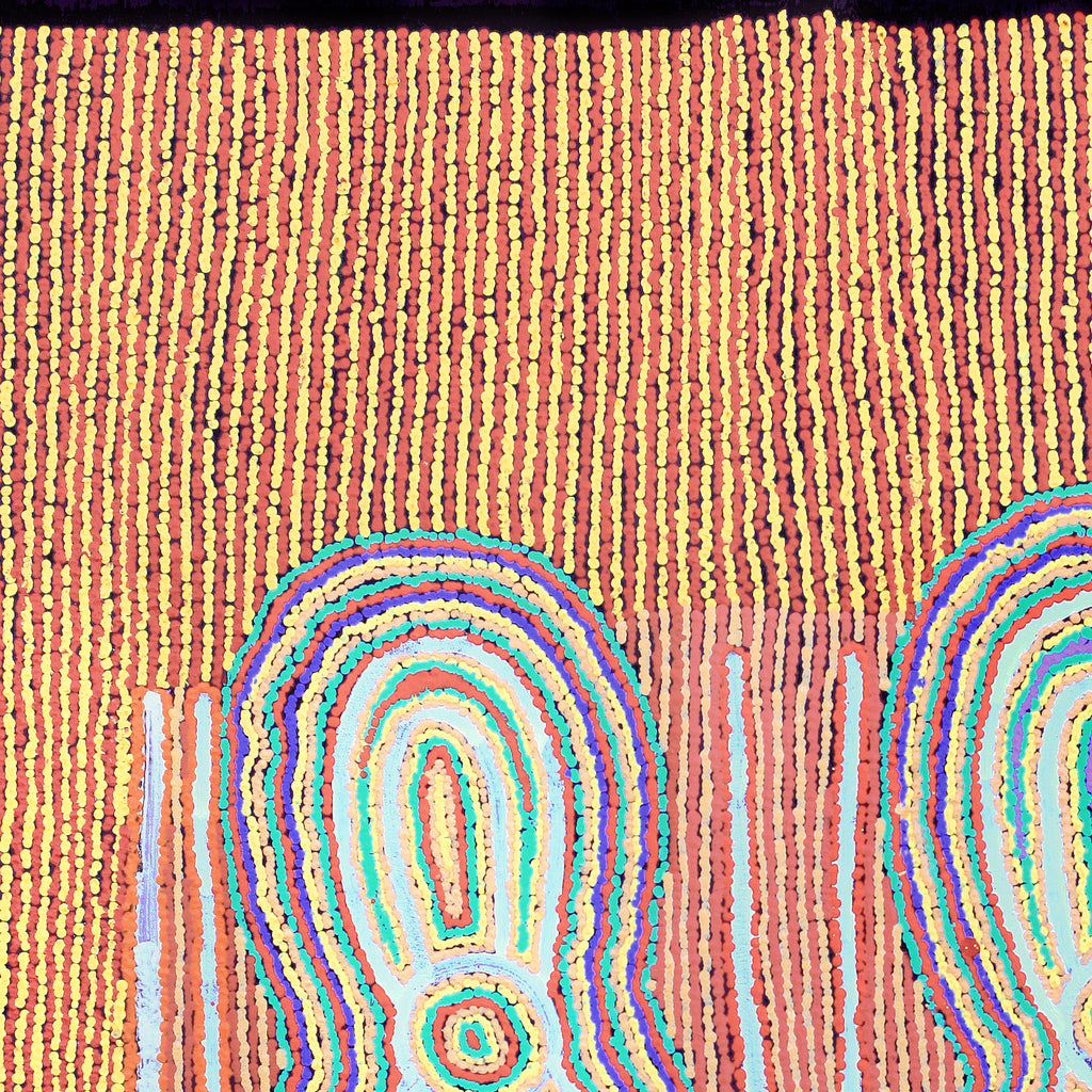 Aboriginal Artwork by Mitchell Japanangka Martin , Mina Mina Jukurrpa - Ngalyipi, 91x76cm