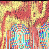 Aboriginal Artwork by Mitchell Japanangka Martin , Mina Mina Jukurrpa - Ngalyipi, 91x76cm
