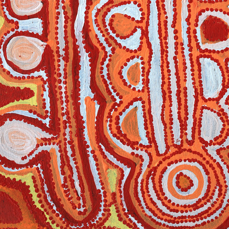 Aboriginal Artwork by Molly Napurrurla Martin, Yarla Jukurrpa (Bush Potato Dreaming) - Cockatoo Creek, 61x46cm