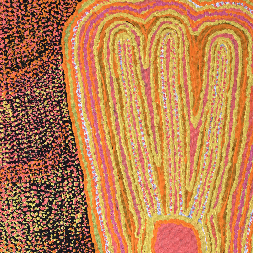 Aboriginal Artwork by Molly Napurrurla Martin, Yarla Jukurrpa (Bush Potato Dreaming) - Cockatoo Creek, 61x46cm
