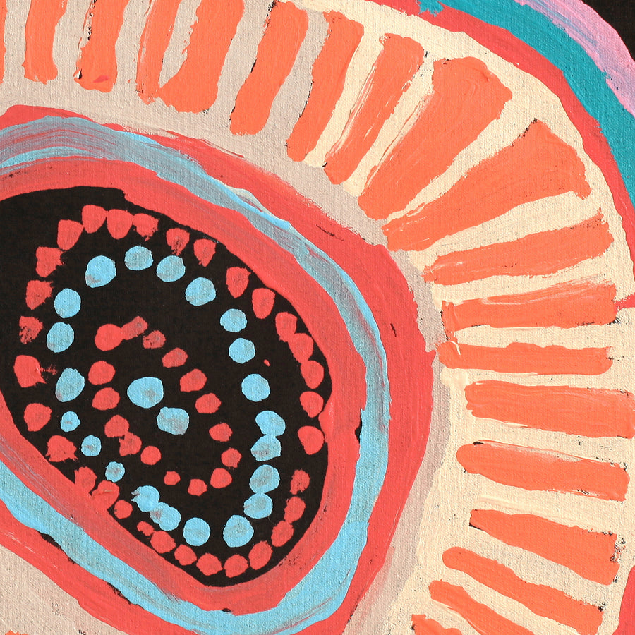 Aboriginal Artwork by Murdie Nampijinpa Morris, Malikijarra Jukurrpa, 46x46cm