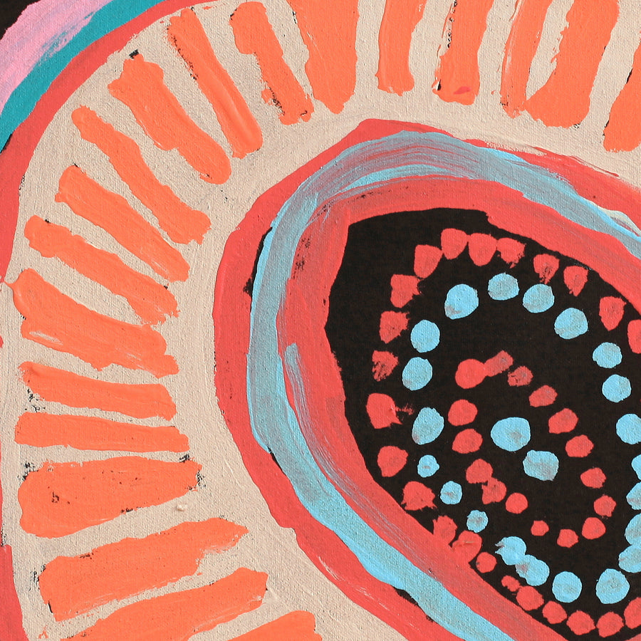 Aboriginal Artwork by Murdie Nampijinpa Morris, Malikijarra Jukurrpa, 46x46cm