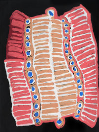 Aboriginal Artwork by Murdie Nampijinpa Morris, Malikijarra Jukurrpa, 61x46cm