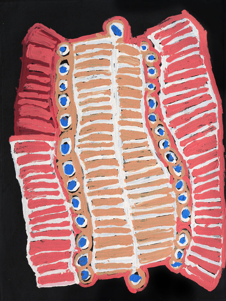 Aboriginal Artwork by Murdie Nampijinpa Morris, Malikijarra Jukurrpa, 61x46cm - ART ARK®