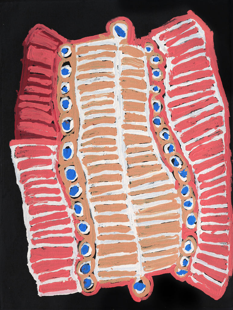 Aboriginal Artwork by Murdie Nampijinpa Morris, Malikijarra Jukurrpa, 61x46cm