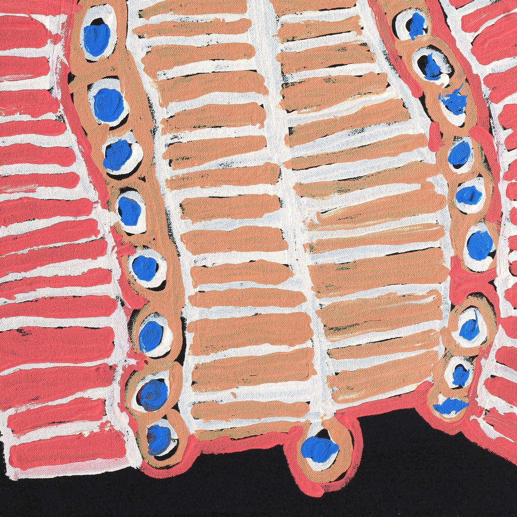 Aboriginal Artwork by Murdie Nampijinpa Morris, Malikijarra Jukurrpa, 61x46cm