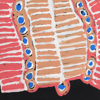 Aboriginal Artwork by Murdie Nampijinpa Morris, Malikijarra Jukurrpa, 61x46cm