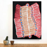 Aboriginal Artwork by Murdie Nampijinpa Morris, Malikijarra Jukurrpa, 61x46cm