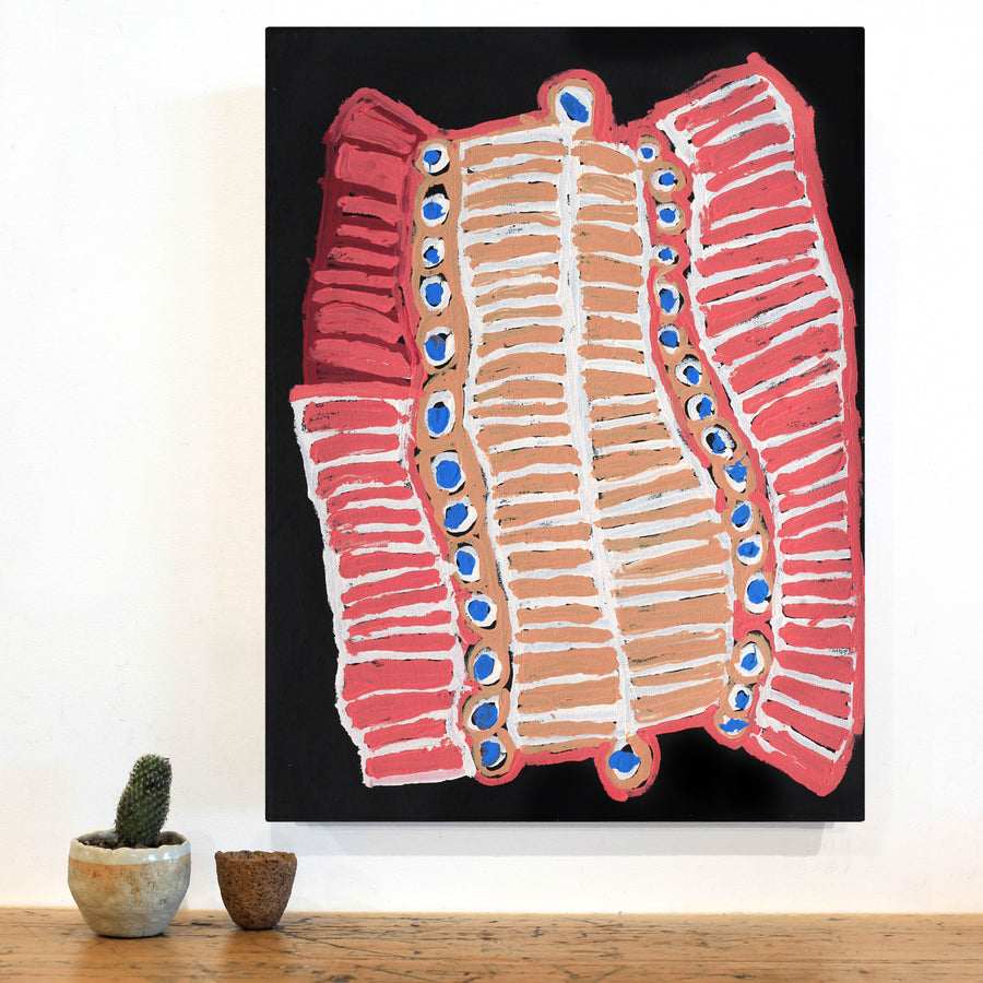 Aboriginal Artwork by Murdie Nampijinpa Morris, Malikijarra Jukurrpa, 61x46cm