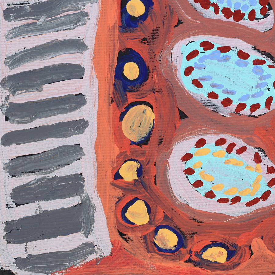 Aboriginal Artwork by Murdie Nampijinpa Morris, Malikijarra Jukurrpa, 30x30cm