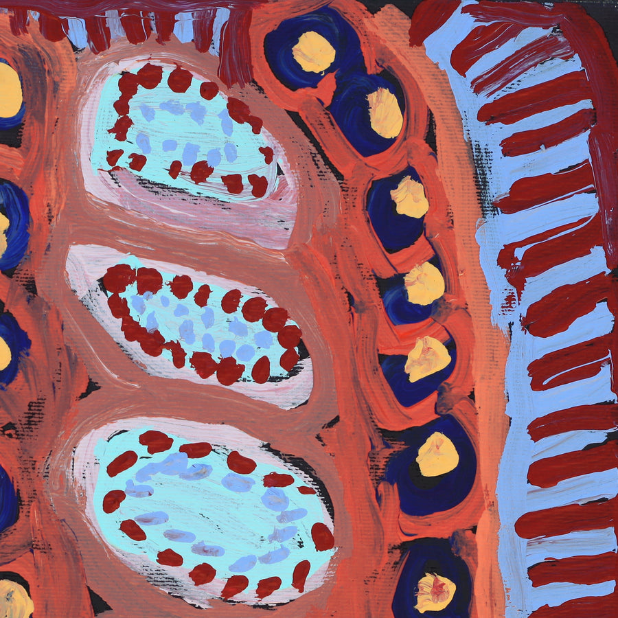 Aboriginal Artwork by Murdie Nampijinpa Morris, Malikijarra Jukurrpa, 30x30cm