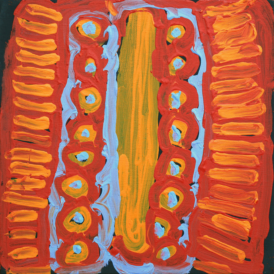 Aboriginal Artwork by Murdie Nampijinpa Morris, Malikijarra Jukurrpa, 30x30cm