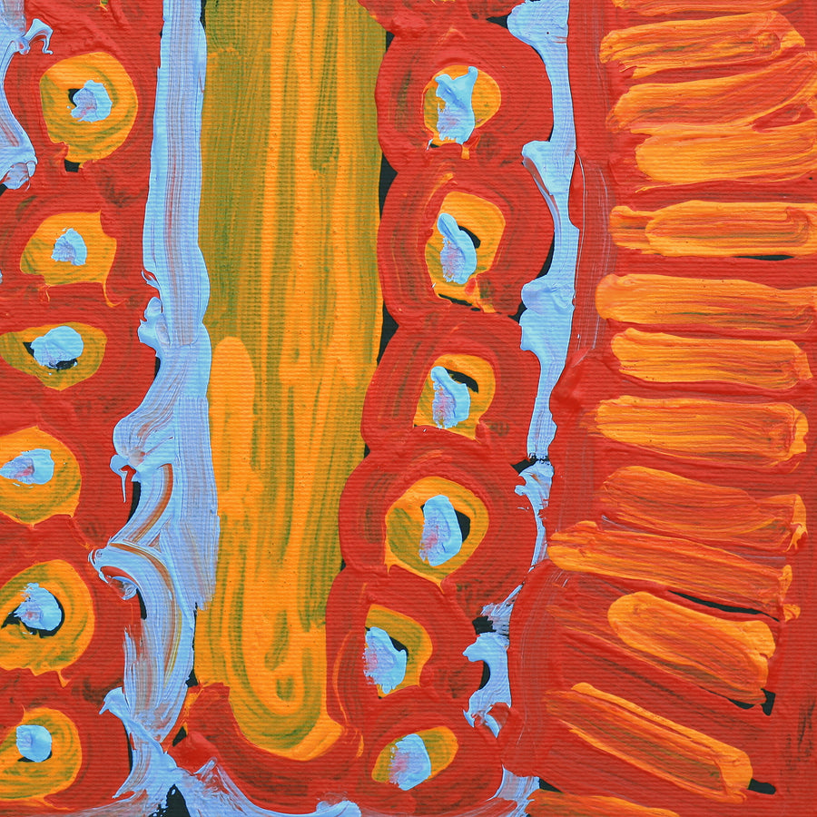 Aboriginal Artwork by Murdie Nampijinpa Morris, Malikijarra Jukurrpa, 30x30cm