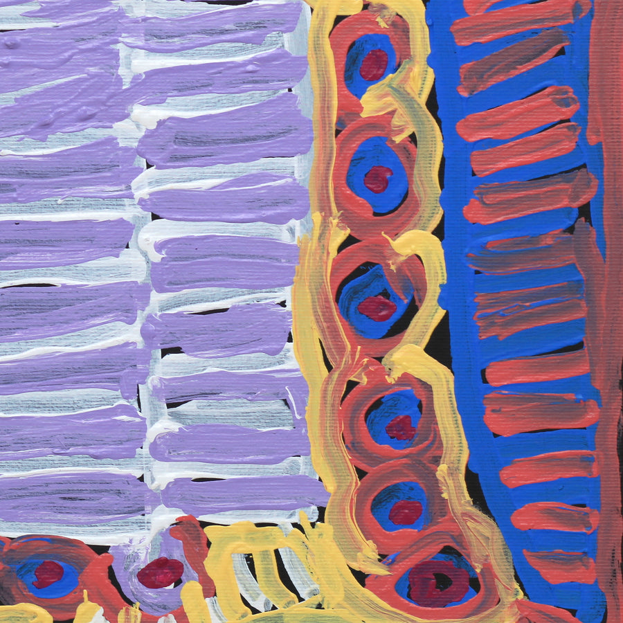 Aboriginal Artwork by Murdie Nampijinpa Morris, Malikijarra Jukurrpa, 30x30cm