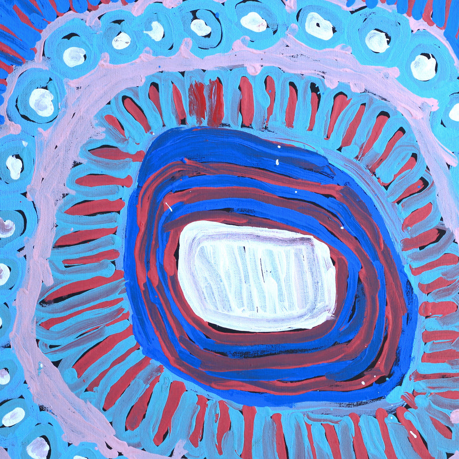 Aboriginal Artwork by Murdie Nampijinpa Morris, Malikijarra Jukurrpa, 46x46cm