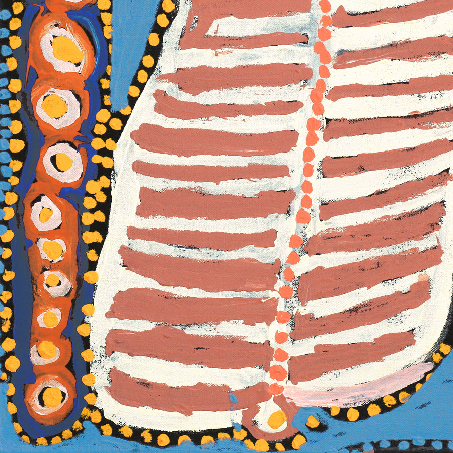 Aboriginal Artwork by Murdie Nampijinpa Morris, Malikijarra Jukurrpa, 46x46cm