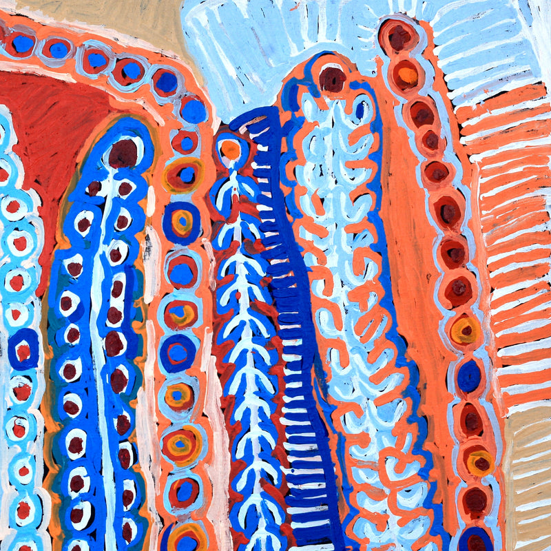 Aboriginal Artwork by Murdie Nampijinpa Morris, Malikijarra Jukurrpa, 91x91cm