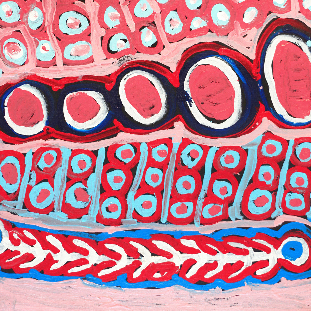 Aboriginal Artwork by Murdie Nampijinpa Morris, Malikijarra Jukurrpa, 61x46cm