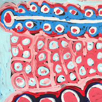 Aboriginal Artwork by Murdie Nampijinpa Morris, Malikijarra Jukurrpa, 61x46cm
