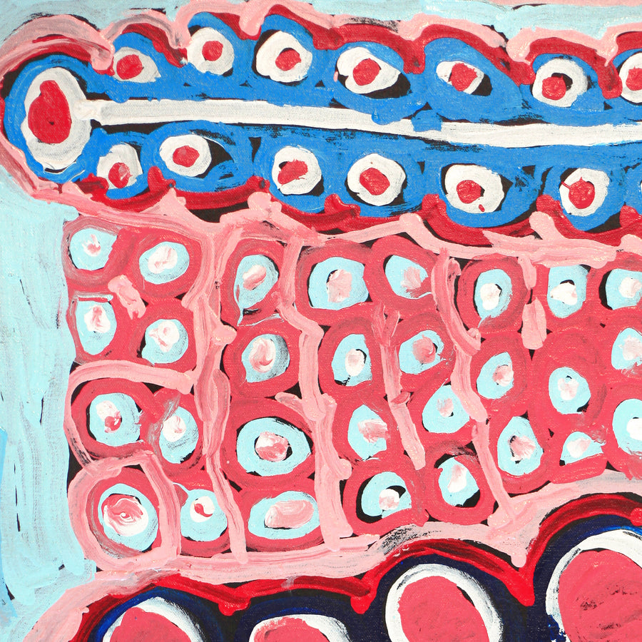 Aboriginal Artwork by Murdie Nampijinpa Morris, Malikijarra Jukurrpa, 61x46cm