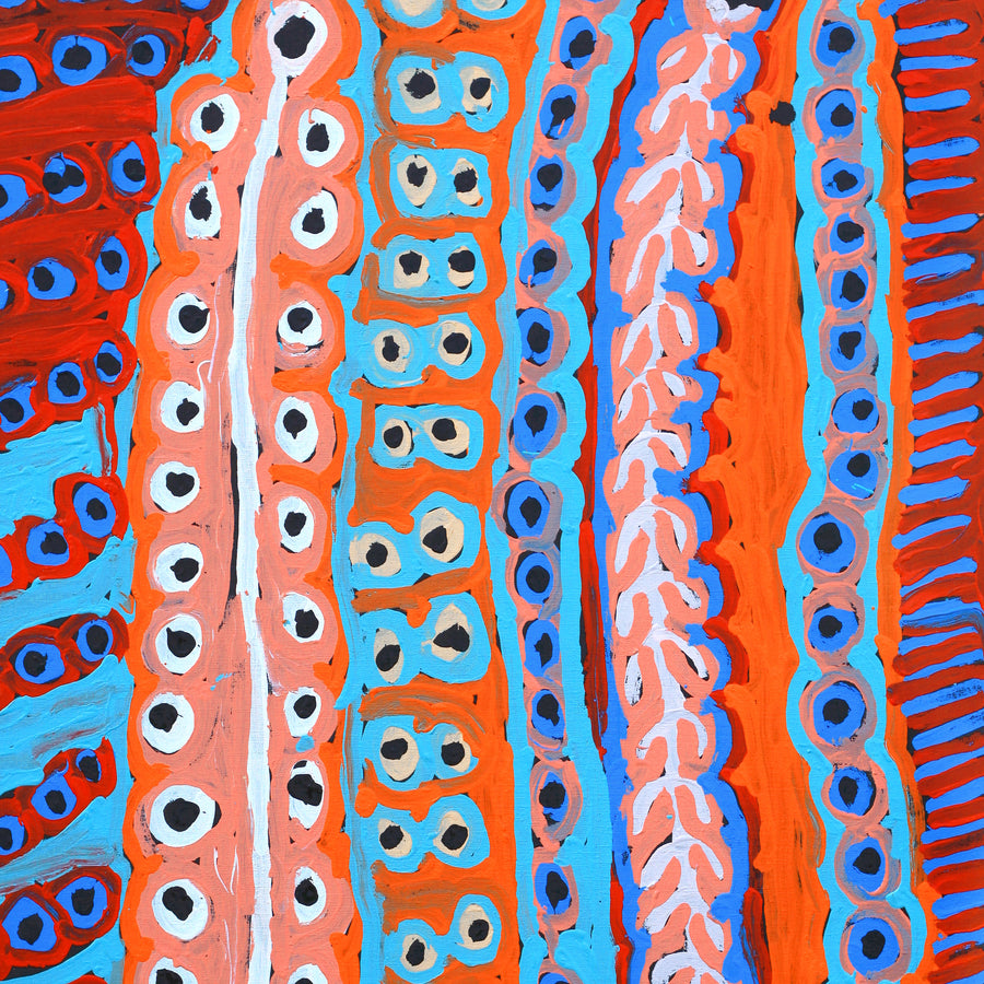 Aboriginal Artwork by Murdie Nampijinpa Morris, Malikijarra Jukurrpa, 91x61cm