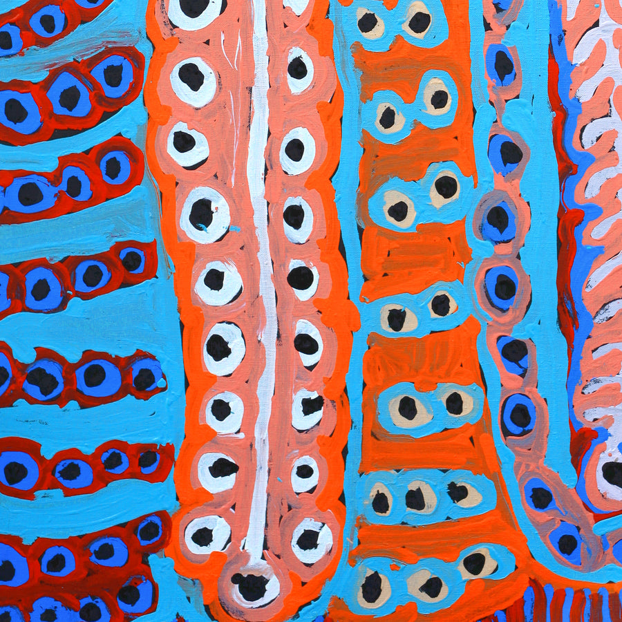 Aboriginal Artwork by Murdie Nampijinpa Morris, Malikijarra Jukurrpa, 91x61cm