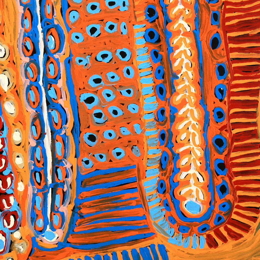 Aboriginal Artwork by Murdie Nampijinpa Morris, Malikijarra Jukurrpa, 91x91cm
