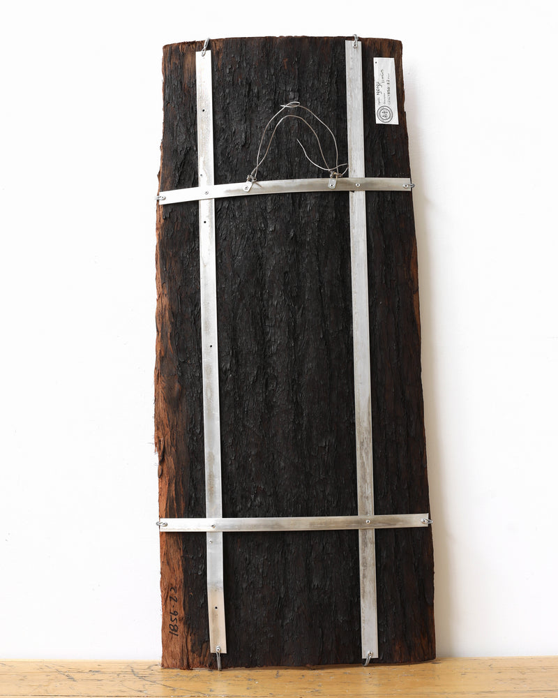 Aboriginal Artwork by Ŋoŋu Ganambarr, Limin, 95x41cm Bark