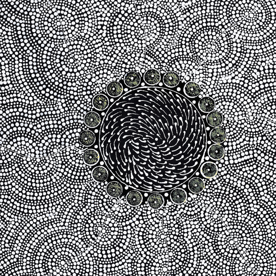Aboriginal Artwork by Nardia Napurrurla Stafford, Ngurlu Jukurrpa (Native Seed Dreaming), 61x46cm
