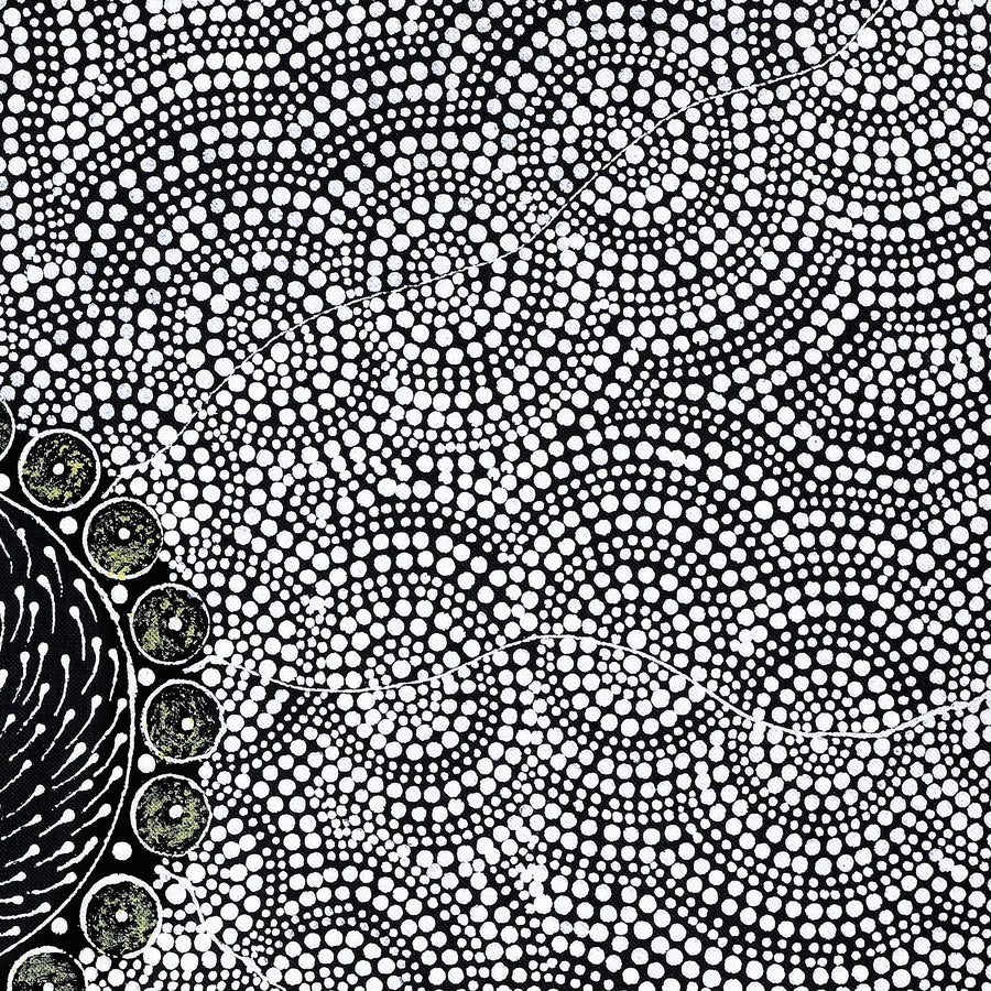 Aboriginal Artwork by Nardia Napurrurla Stafford, Ngurlu Jukurrpa (Native Seed Dreaming), 61x46cm