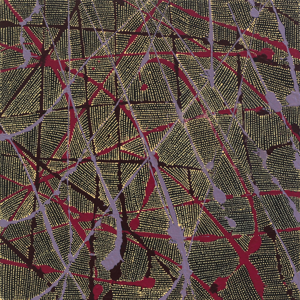 Aboriginal Artwork by Nancy Nungarrayi Collins, Ngalyipi Jukurrpa (Snake Vine Dreaming) - Purturlu, 30x30cm