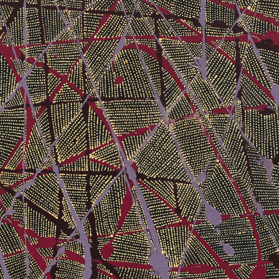 Aboriginal Artwork by Nancy Nungarrayi Collins, Ngalyipi Jukurrpa (Snake Vine Dreaming) - Purturlu, 30x30cm
