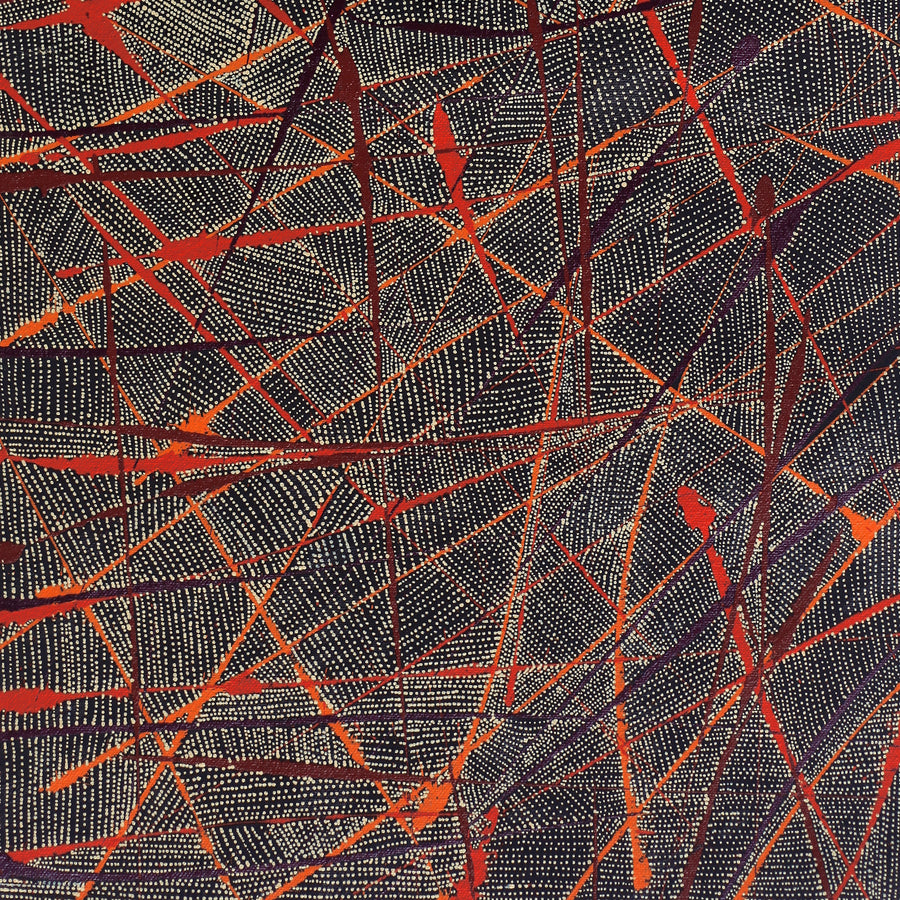 Aboriginal Artwork by Nancy Nungarrayi Collins, Ngalyipi Jukurrpa (Snake Vine Dreaming) - Purturlu, 61x30cm