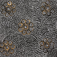 Aboriginal Artwork by Nardia Napurrurla Stafford, Ngurlu Jukurrpa (Native Seed Dreaming), 30x30cm