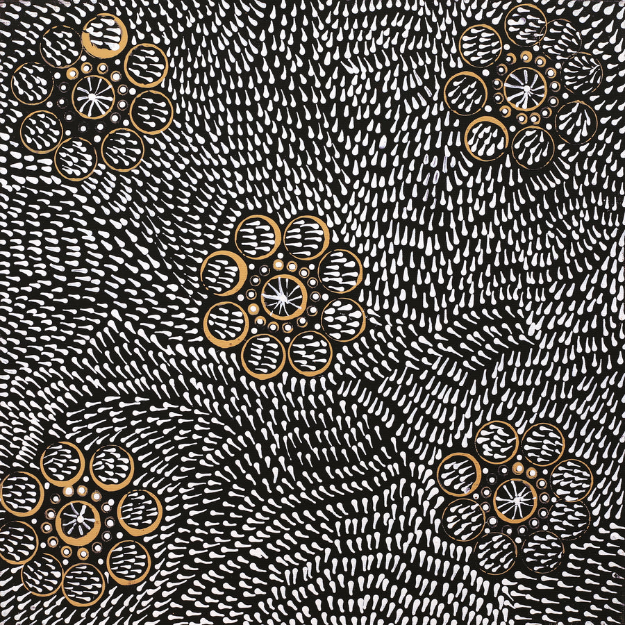 Aboriginal Artwork by Nardia Napurrurla Stafford, Ngurlu Jukurrpa (Native Seed Dreaming), 30x30cm