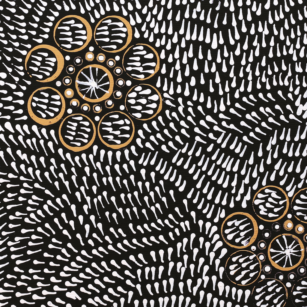 Aboriginal Artwork by Nardia Napurrurla Stafford, Ngurlu Jukurrpa (Native Seed Dreaming), 30x30cm