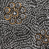 Aboriginal Artwork by Nardia Napurrurla Stafford, Ngurlu Jukurrpa (Native Seed Dreaming), 30x30cm