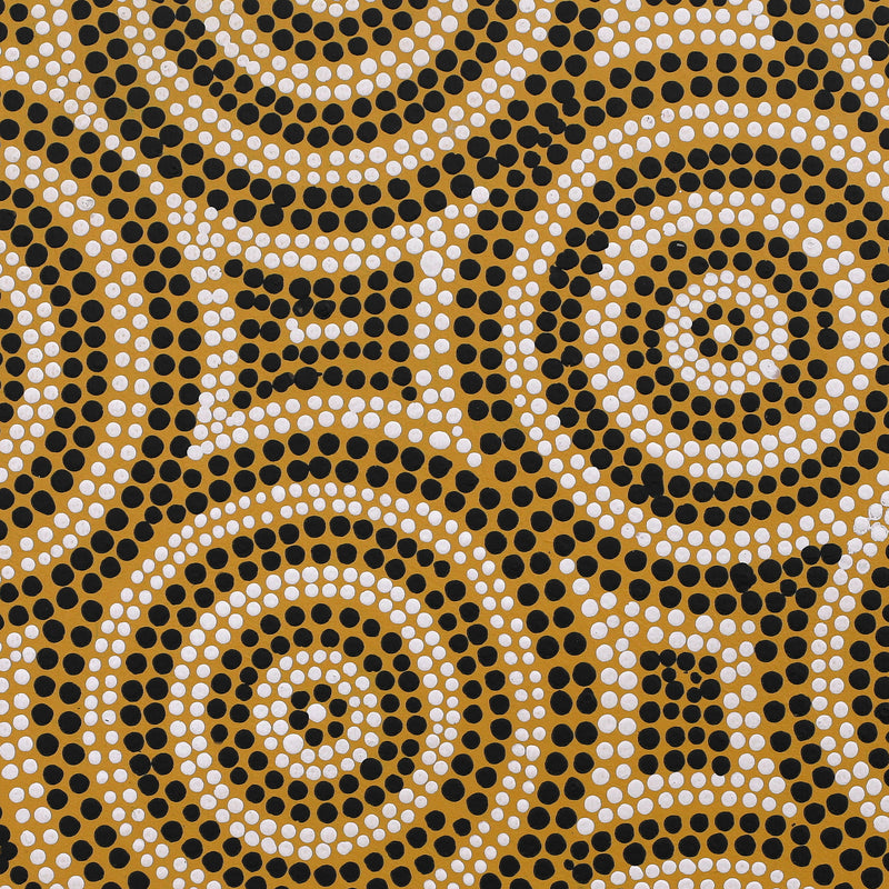 Aboriginal Artwork by Nardia Napurrurla Stafford, Ngurlu Jukurrpa (Native Seed Dreaming), 30x30cm