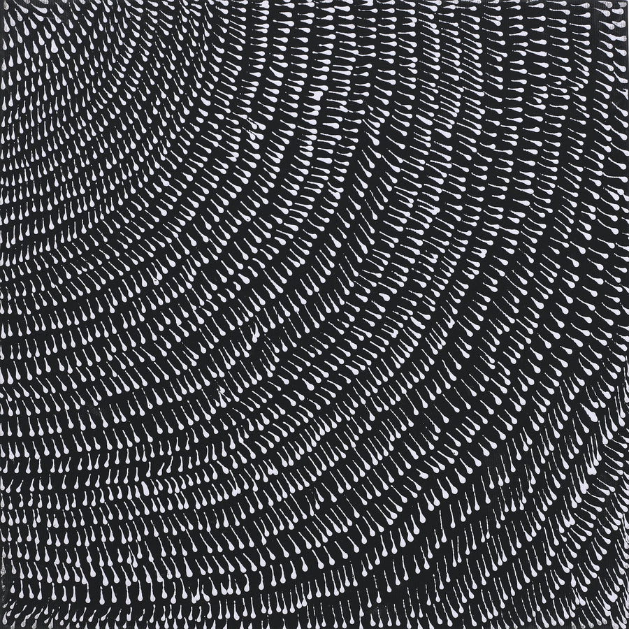 Aboriginal Artwork by Nardia Napurrurla Stafford, Ngurlu Jukurrpa (Native Seed Dreaming), 30x30cm