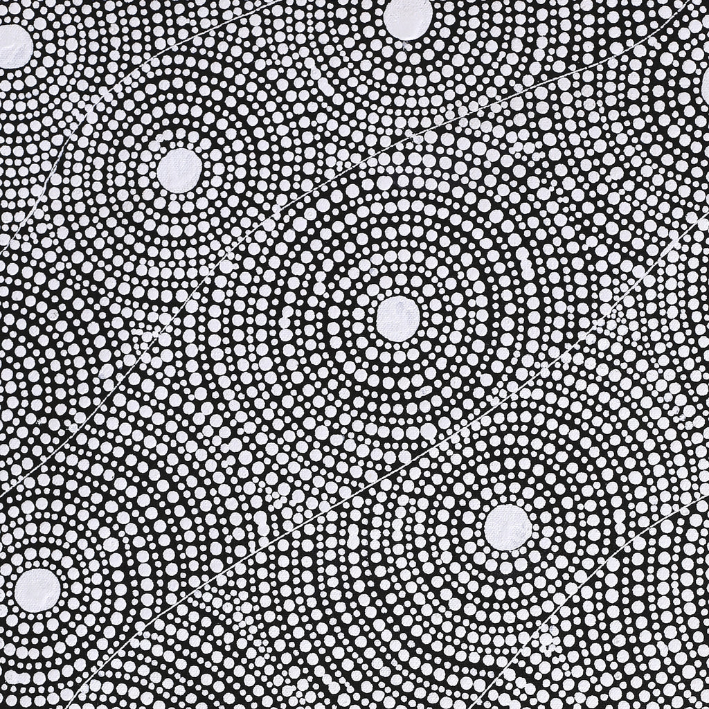 Aboriginal Artwork by Nardia Napurrurla Stafford, Ngurlu Jukurrpa (Native Seed Dreaming), 61x46cm
