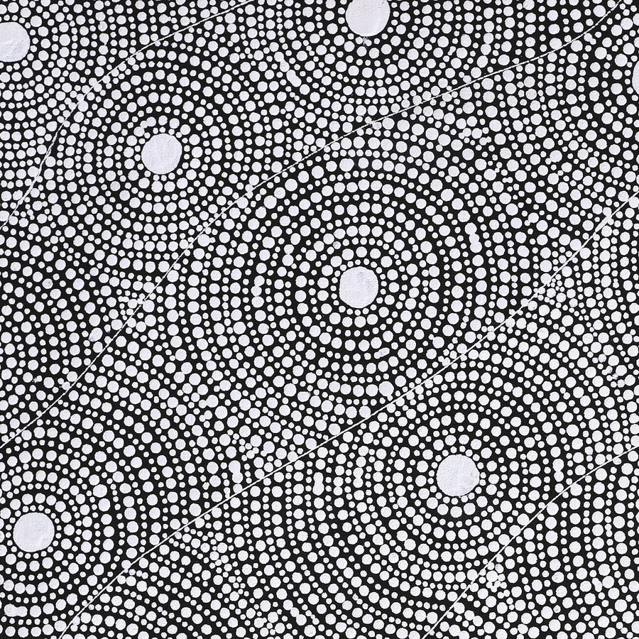Aboriginal Artwork by Nardia Napurrurla Stafford, Ngurlu Jukurrpa (Native Seed Dreaming), 61x46cm