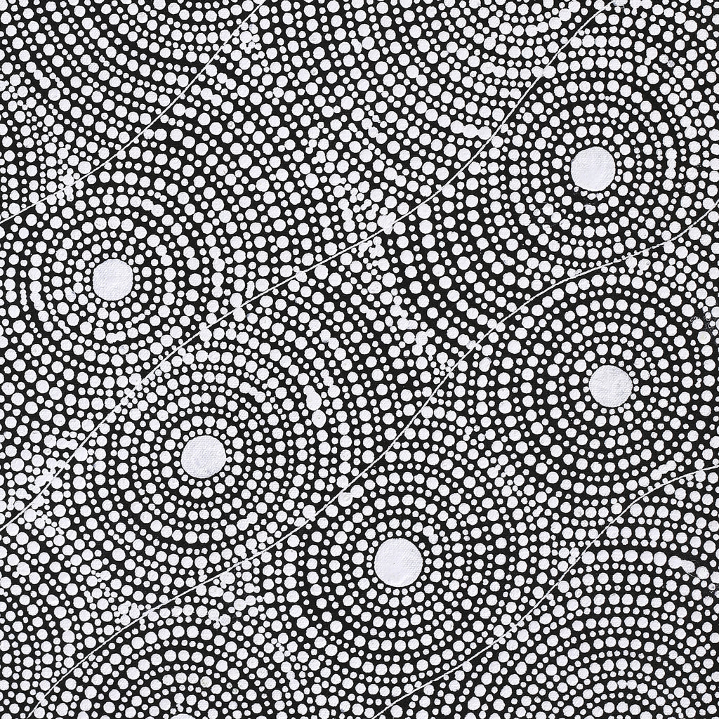Aboriginal Artwork by Nardia Napurrurla Stafford, Ngurlu Jukurrpa (Native Seed Dreaming), 61x46cm