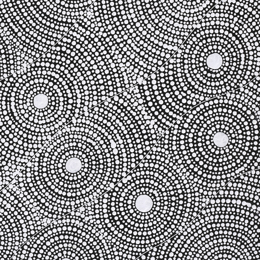 Aboriginal Artwork by Nardia Napurrurla Stafford, Ngurlu Jukurrpa (Native Seed Dreaming), 61x46cm
