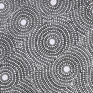 Aboriginal Artwork by Nardia Napurrurla Stafford, Ngurlu Jukurrpa (Native Seed Dreaming), 61x46cm - ART ARK®