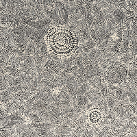 Aboriginal Artwork by Nathania Nangala Granites, Warlukurlangu Jukurrpa (Fire country Dreaming), 61x61cm