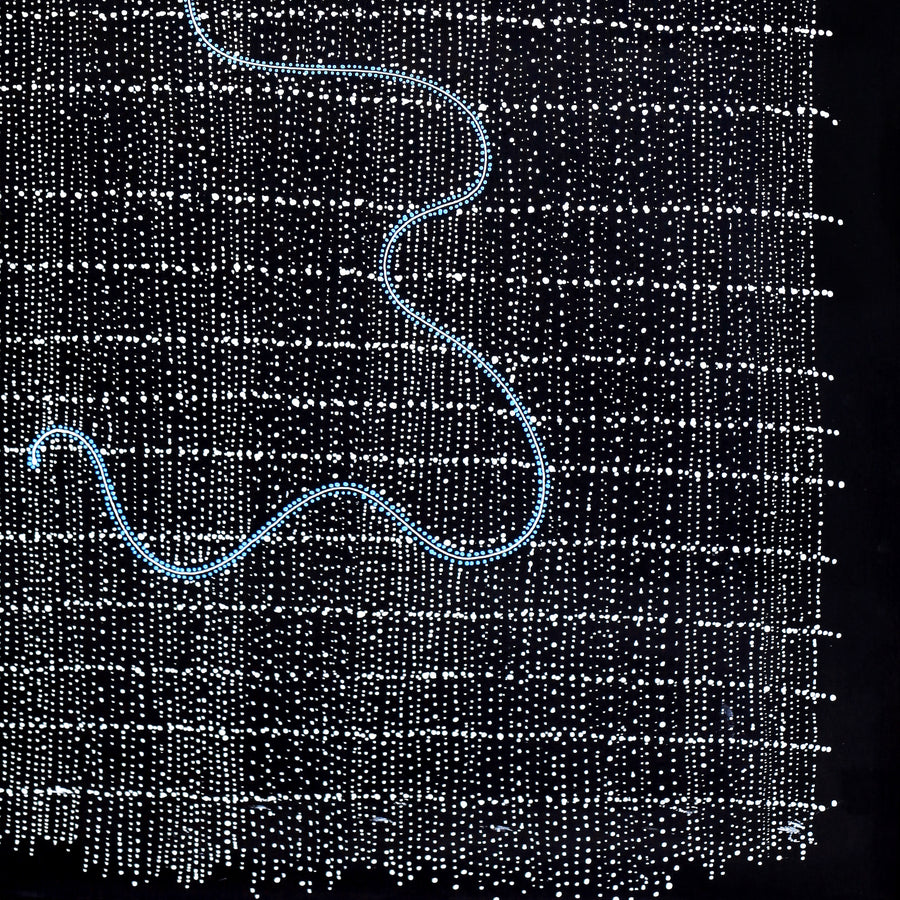 Aboriginal Artwork by Natasha Nakamarra Oldfield, Warna Jukurrpa (Snake Dreaming), 122x76cm